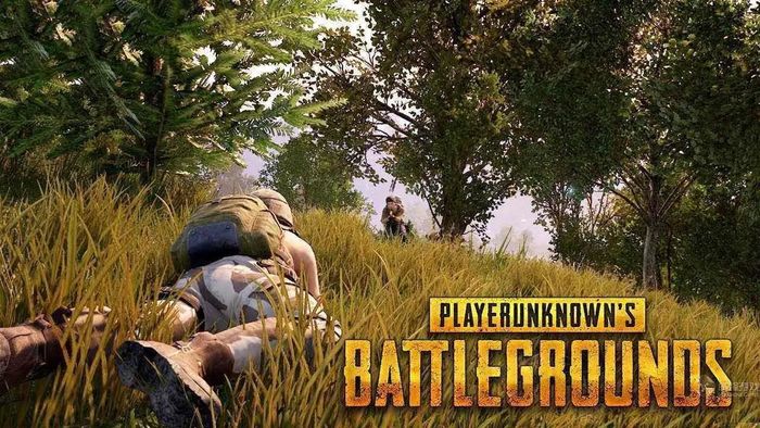 《PUBG》沙漠狮城求生指南  第1张